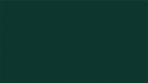 IMAGE DE FOND POUR DESIDER LES ELEMENTS DECORATIFS DE DILINK